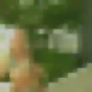 Photo perso de Lilou, 42 ans à Saint-Valery-sur-Somme - rencontre coquine