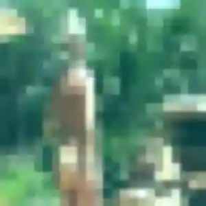 Mawusi, 41 ans, en ligne à Saint-Viance pour une rencontre coquine