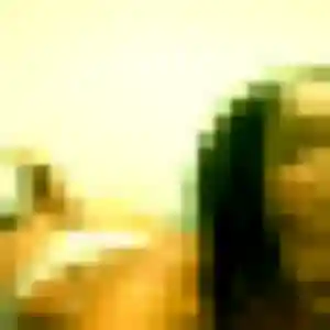 Photo perso de Deborah, 45 ans à Saint-Vincent-Bragny - rencontre coquine