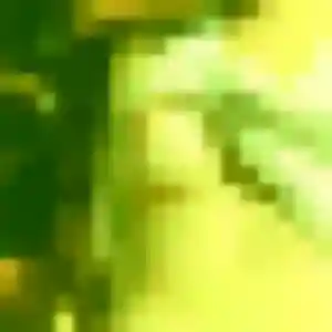 Photo de Selbé à Saint-Vincent-Cramesnil (26 ans) - plan cul anonyme