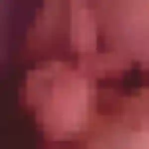 Profil de Titi à Saint-Vincent-Sterlanges (41 ans) - plan cul discret
