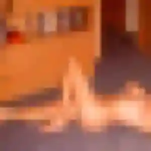 Photo exclusive de Yvette, 41 ans à Sainte-Anne-d'Auray - rencontre coquine