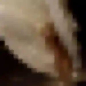 Photo perso de Sandrine, 44 ans à Sainte-Barbe - plan discret