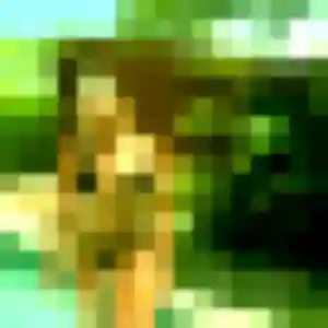 Photo exclusive de Shanelle, 45 ans à Sainte-Florine - rencontre sans lendemain
