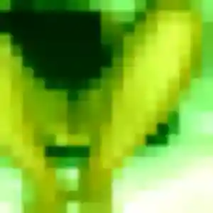 Contacte Stacy, 24 ans à Sainte-Hermine en privé