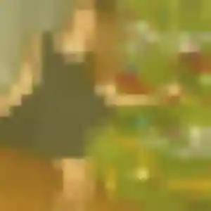 Jeanine, fille de 37 ans cherche plan cul à Sainte-Marie-Cappel