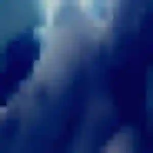 Photo privée de Zawadi, 32 ans à Sainte-Sévère-sur-Indre - rencontre coquine