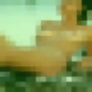 Constance, 45 ans, en ligne à Saïx pour une rencontre coquine