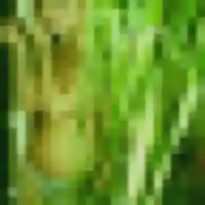 Photo de Régine à Salagnon (32 ans) - plan cul gratuit