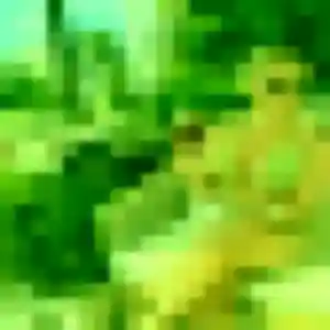 Yemisi, 34 ans, disponible à Salles-Curan pour un plan cul