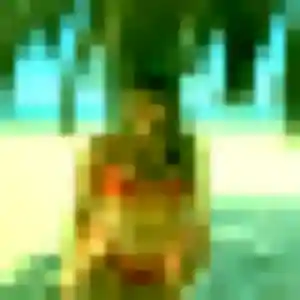 Maéva, femme de 27 ans propose plan cul à Sancheville