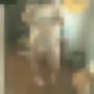 Evelyne, femme de 22 ans veut plan cul à Sanilhac