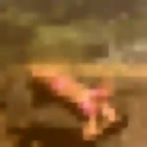 Touty, 28 ans, dispo pour plan cul à Santa-Lucia-di-Moriani