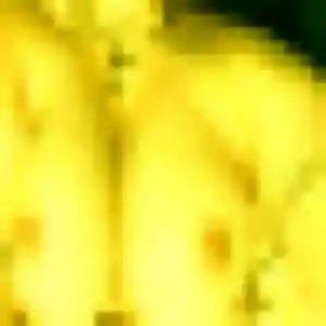 Noëlla, 33 ans, disponible à Sarry pour un plan cul