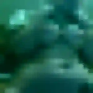Photo de Marina à Saubusse (26 ans) - plan cul gratuit