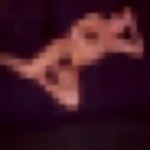 Photo exclusive de Wanjiku, 30 ans à Saulieu - rencontre coquine