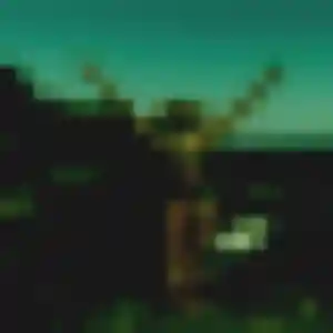 Lilou de Saulny, 41 ans - plan cul en toute liberté