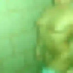 Charmante Honorine, 36 ans à Saussemesnil - voir sa photo