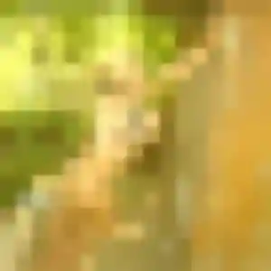 Photo perso de Naëlle, 45 ans à Sauviat-sur-Vige - rencontre coquine