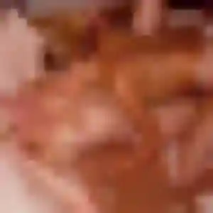 Ophélie, 23 ans, dispo pour plan cul à Savigny-en-Revermont