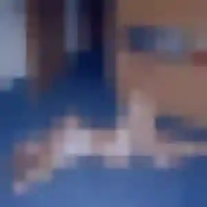 Photo exclusive de Viviane, 22 ans à Savigny-en-Revermont - rencontre sans lendemain