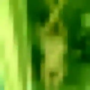 Exaucée (43 ans) à Savins propose un plan cul maintenant