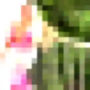 Dieynaba de Sceaux, 29 ans - plan cul en toute liberté