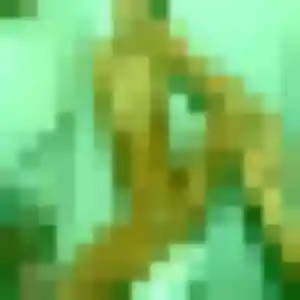 Contacte Fatoumata, 30 ans à Sées en t'inscrivant