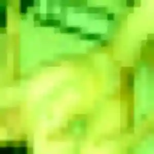 Mercy, femme de 27 ans propose plan cul à Ségrie