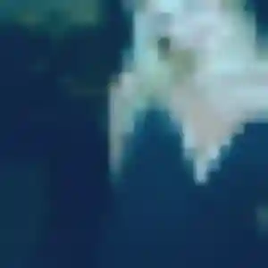 Mireille (23 ans) à Seingbouse attend une rencontre ce soir