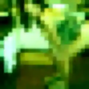 Jolie Constance, 25 ans à Sémalens - voir sa photo