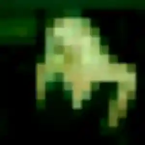 Rencontre Dieynaba, 31 ans à Senonches gratuitement