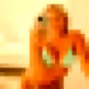 Brigitte de Sepmes, 32 ans - plan cul sans prise de tête