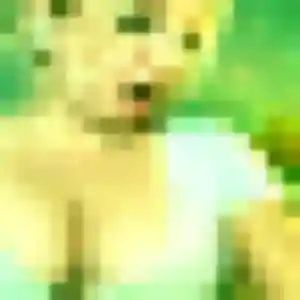 plan cul à Sepmes : photo de Nneka, 39 ans - inscription gratuite