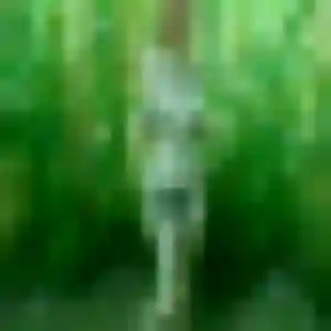 Jamila, fille de 34 ans veut plan cul à Sermaize-les-Bains