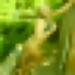 Ketty (34 ans) à Sermamagny propose une rencontre aujourd'hui