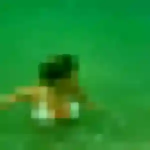 Profil de Fama à Serques (23 ans) - plan cul sans inscription