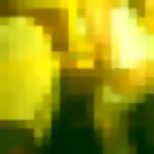 Precious (31 ans) à Serris attend un plan cul maintenant