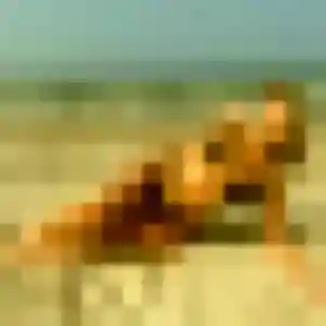 Charmante Nadia, 31 ans à Sers - voir sa photo