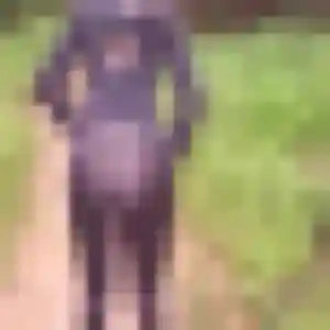Maéva, 32 ans, connectée à Servon-sur-Vilaine pour une rencontre coquine