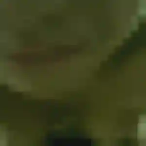 Saly de Setques, 26 ans - plan cul sans prise de tête