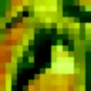 Arame, 43 ans, dispo pour plan cul à Seugy