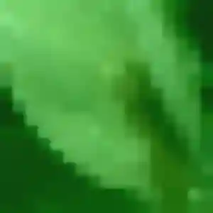 Njeri, fille de 25 ans propose plan cul à Sèvremont