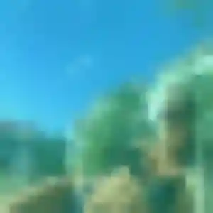 plan cul à Sigean : photo de Jumoke, 44 ans - inscription gratuite