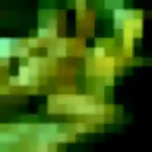 Photo de Solange à Sillans-la-Cascade (35 ans) - plan cul gratuit