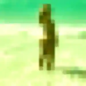 Photo perso de Zaïna, 38 ans à Sin-le-Noble - plan discret