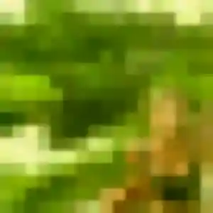 Toyin, 32 ans, en ligne à Sinard pour un plan cul