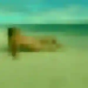 Michèle, 23 ans, cherche un plan cul à Sissonne