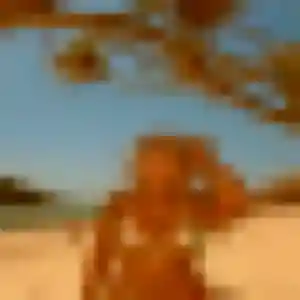 Photo de Khadija à Socx (25 ans) - plan cul gratuit