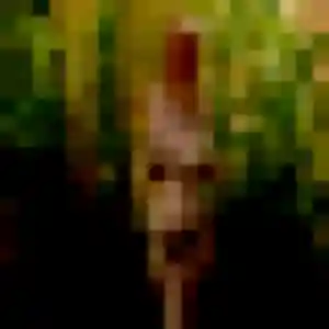 Nyima de Socx, 37 ans - plan cul en toute liberté